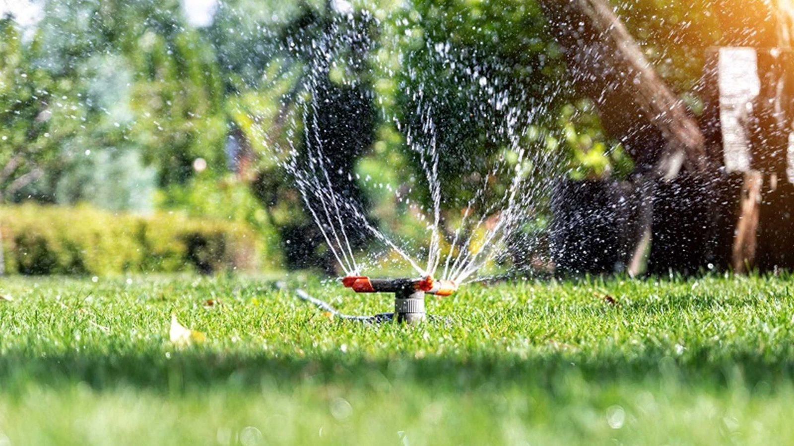 Approaches to Landscape Irrigation Design