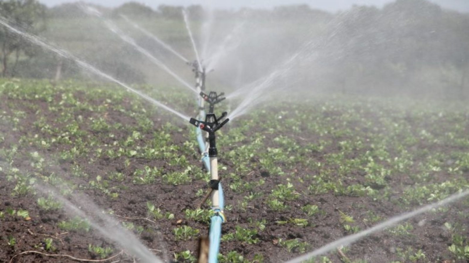 Best Practices In Efficient Irrigation Design