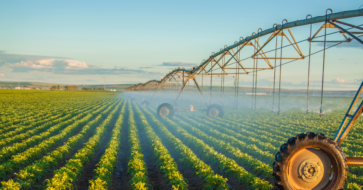 Designing Irrigation for Different Crops