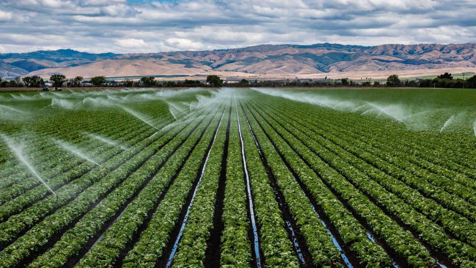 How Irrigation Design Benefits Environmental Sustainability