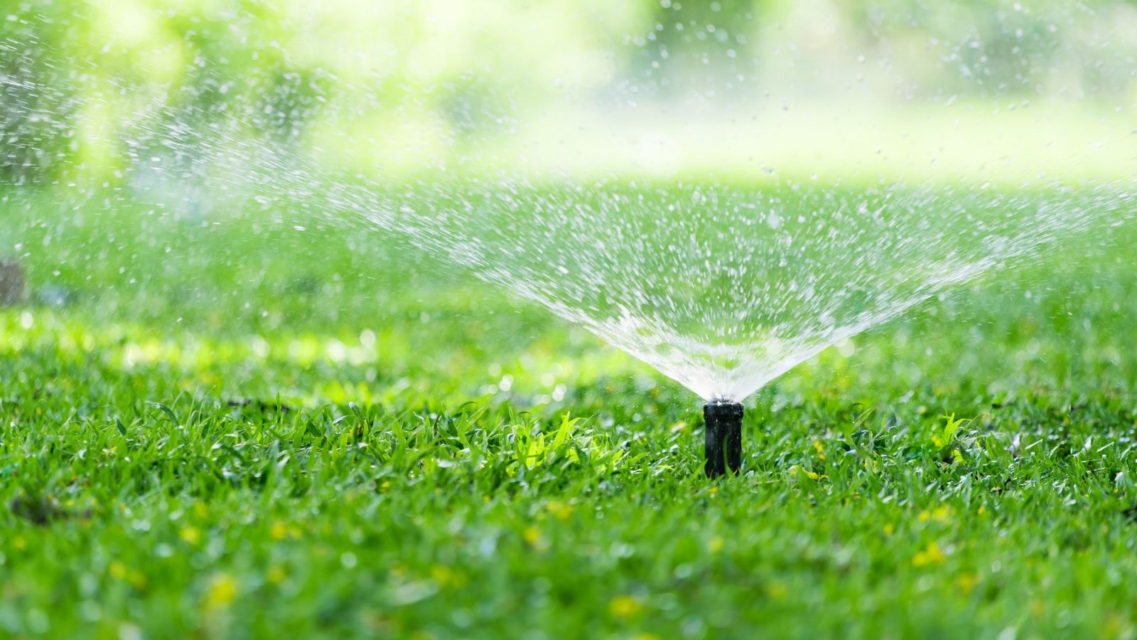 How Irrigation Design Benefits Environmental Sustainability