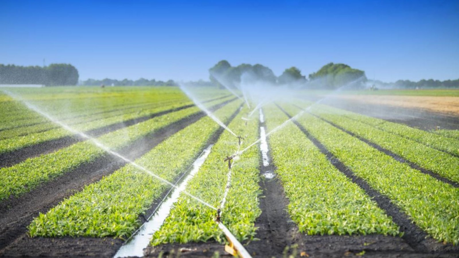 How Irrigation Design Supports Agricultural Growth