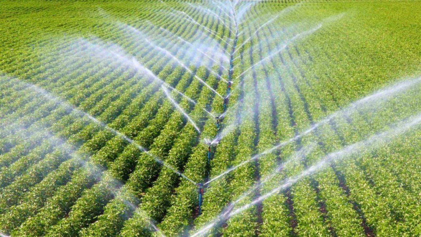 Irrigation Design Solutions For Water Scarcity