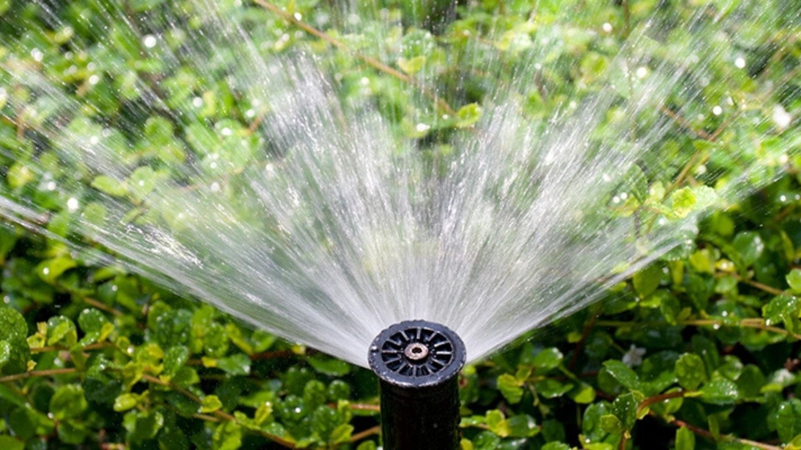 Irrigation Design Trends For Water Conservation