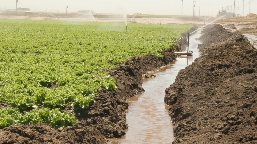 Minimizing Runoff in Irrigation Design