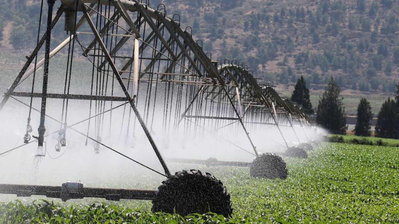 Modern Irrigation Design Solutions For Farms