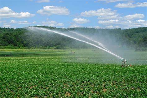 Top Irrigation Systems for Sustainable Water Use