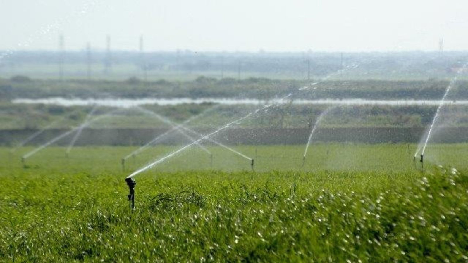 Optimizing Irrigation Scheduling