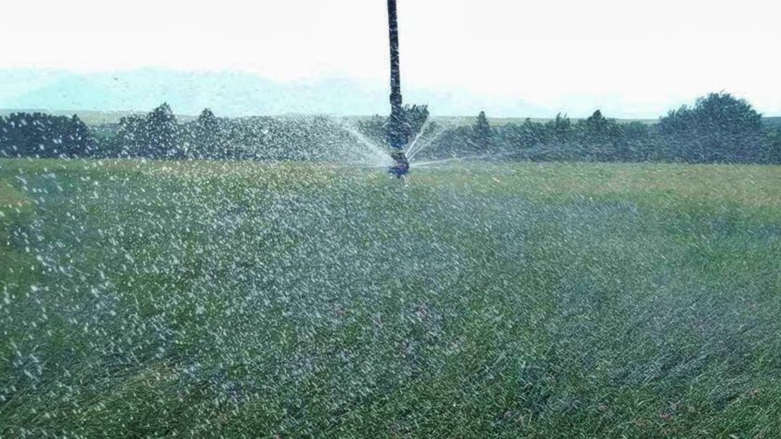 Optimizing Irrigation Scheduling