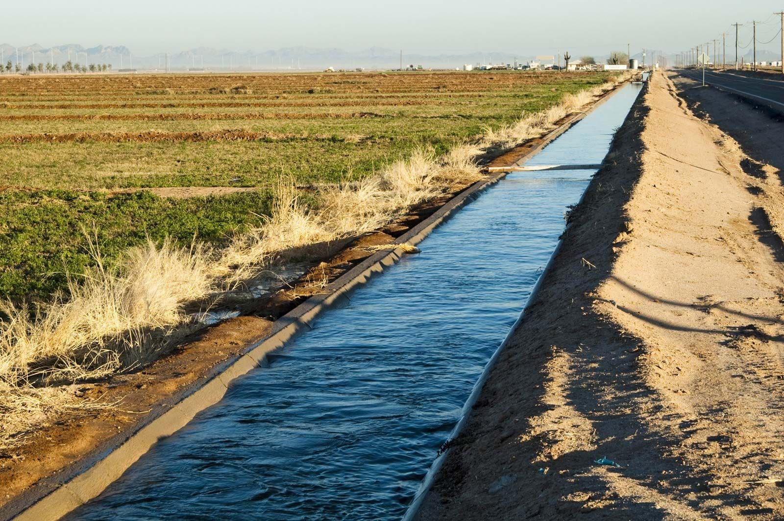 Challenges in Irrigation Design for Arid Regions