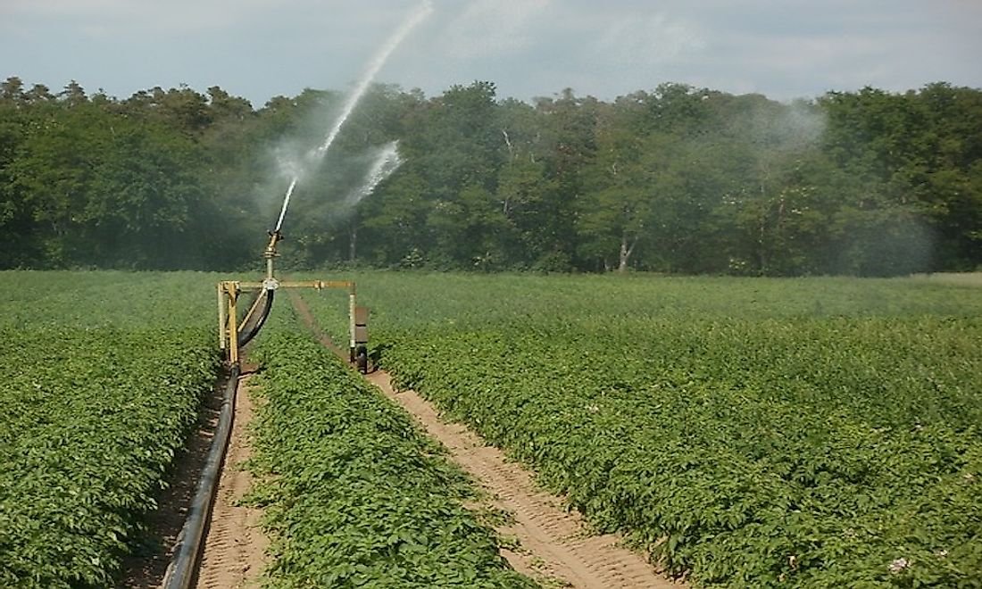 The Environmental Impact of Irrigation Practices