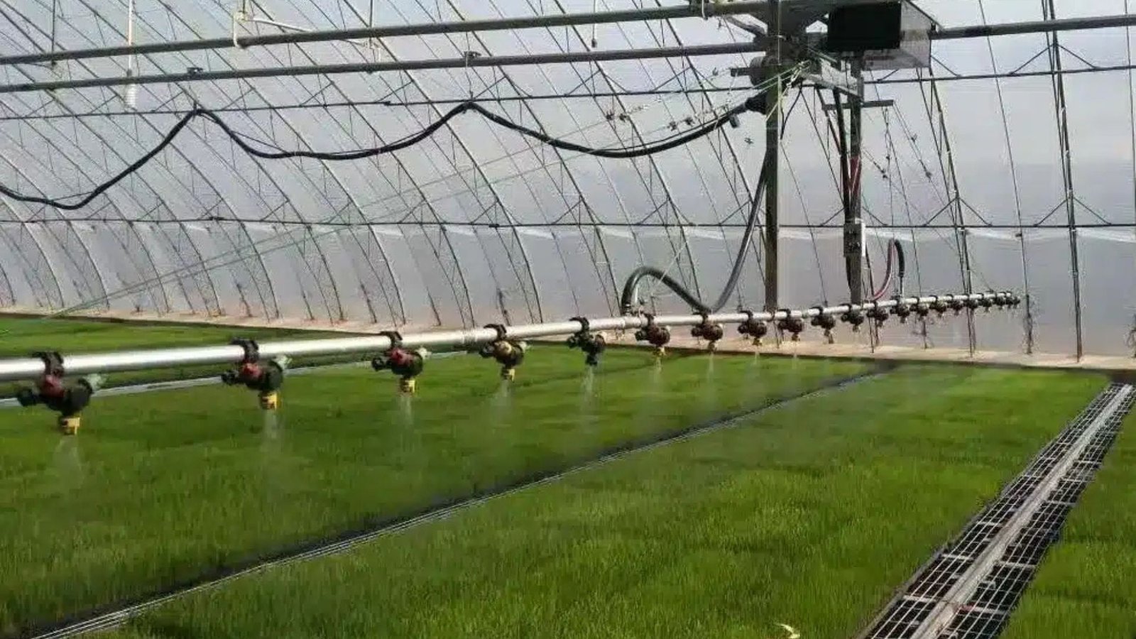 Sustainable Irrigation Design For Greenhouses And Farms