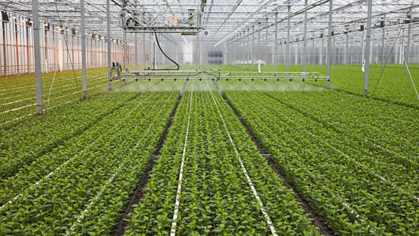 Sustainable Irrigation Design For Greenhouses And Farms