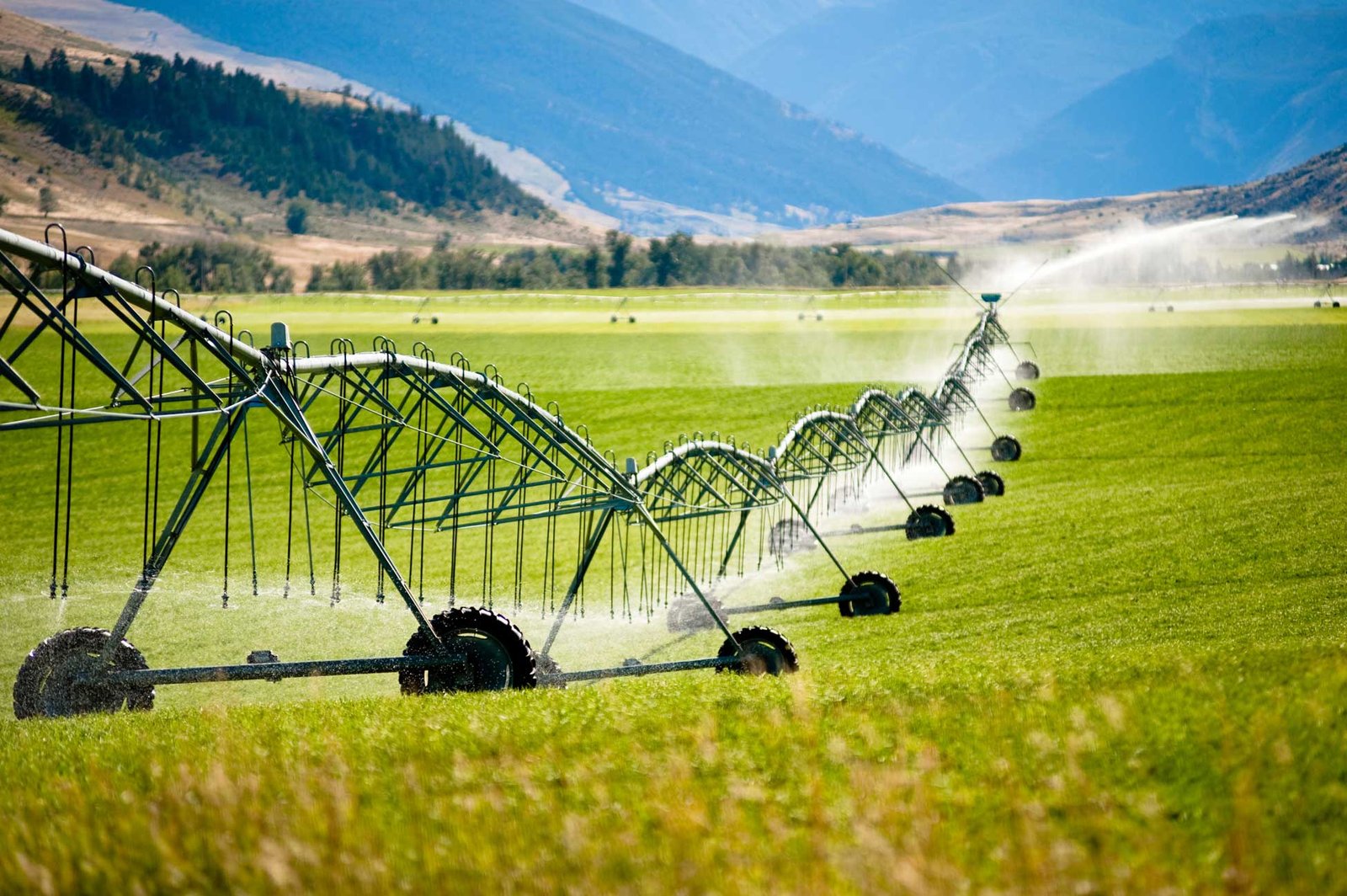 Top Irrigation Systems for Sustainable Water Use